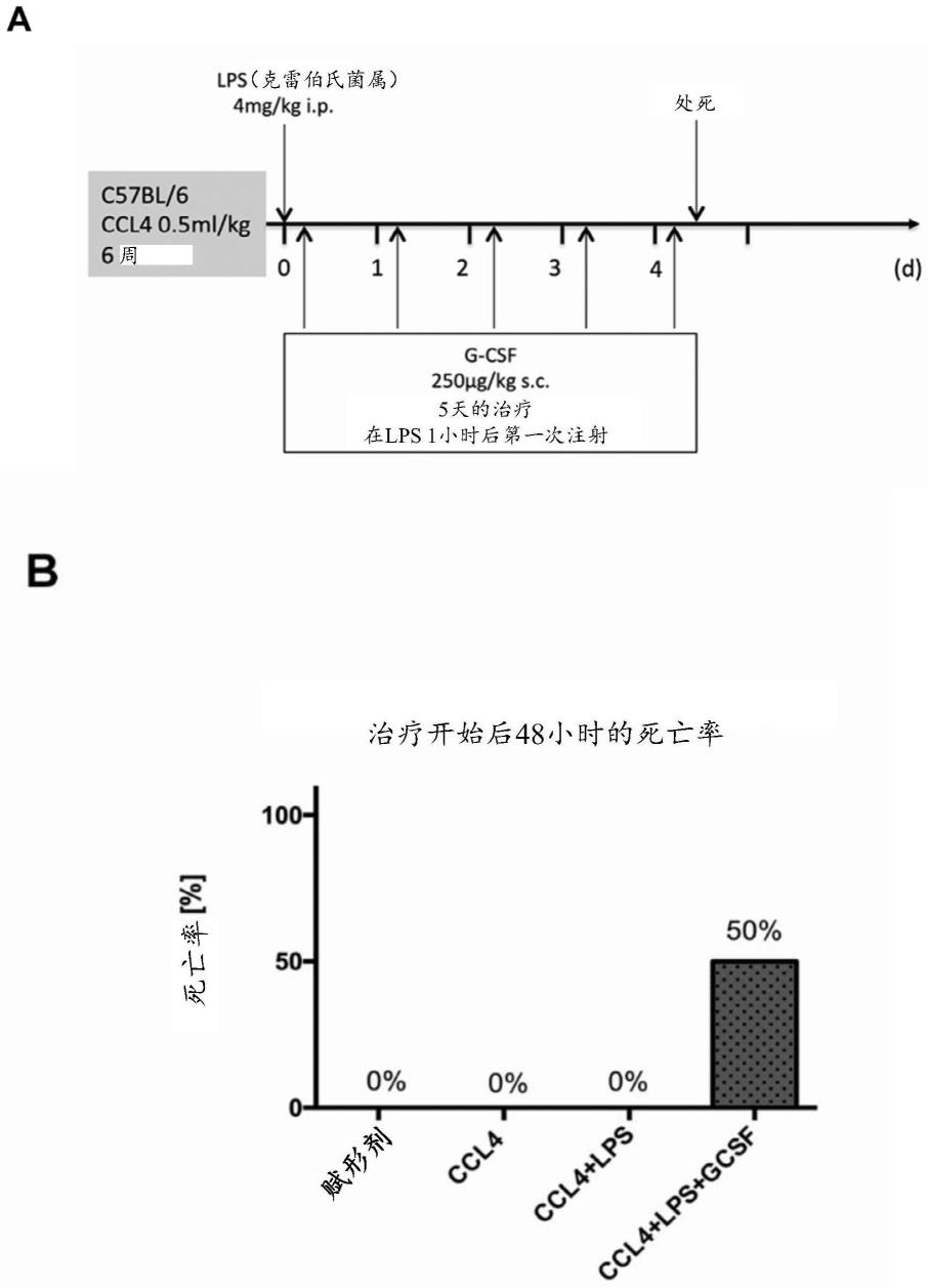 肝衰竭的治疗的制作方法