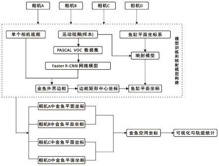 一种基于多摄像头协同跟踪的金鱼移动轨迹提取方法