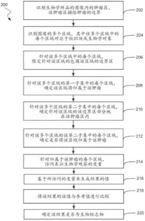 用于有效地确定组织的区域中的多种细胞类型的密度和空间关系特征的方法与流程