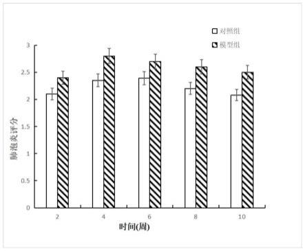 一种胺碘酮的新应用方法与流程