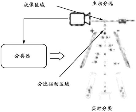 用于灵活的基于图像的颗粒分选的分类工作流的制作方法