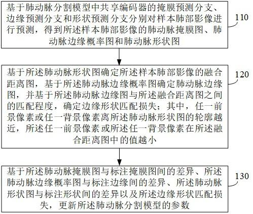 肺动脉分割模型构建方法、肺动脉分割方法和装置与流程