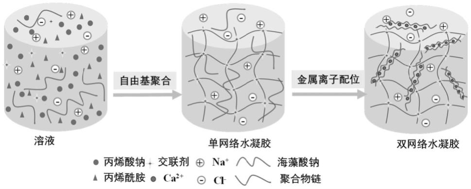 一种双网络导电水凝胶及其制备方法与应用