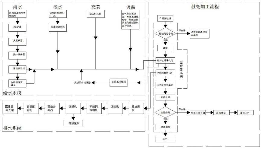 一种实现牡蛎生食的净化工艺及专用净化设施的制作方法