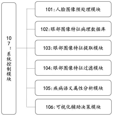 一种基于眼部图像的疾病检测系统及方法与流程