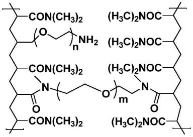 一种基于rac-2-Br-DMNPA的蛋白质固相化学连接方法