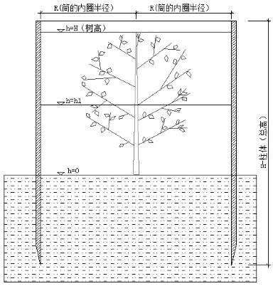 一种测定红树林生物量体积的方法与流程