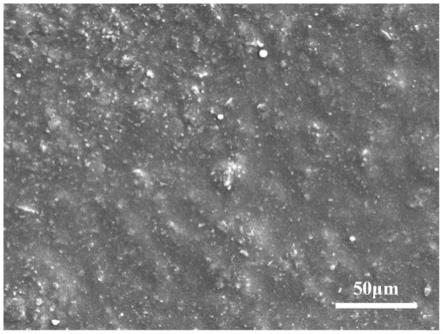 壳聚糖-没食子酸协同改性水性带锈涂料及其制备方法与流程