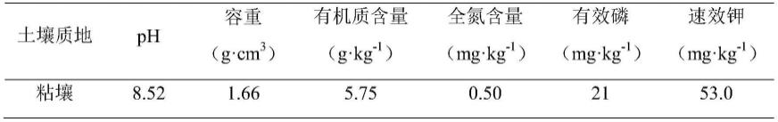 一种快速提升补充耕地土壤地力的改良材料及其制备方法与流程