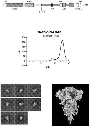 SARS-CoV-2疫苗