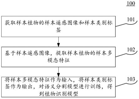 基于人工智能的植物识别方法、装置以及设备与流程