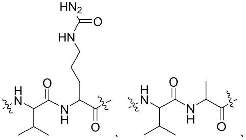 一种分支型聚乙二醇连接子及其用途的制作方法