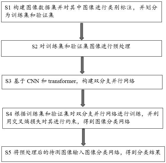 基于CNN与Transformer的低分辨率图像分类方法及系统与流程