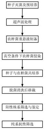 一种高效的农杆菌介导的拟南芥原位遗传转化方法