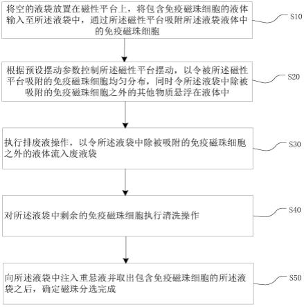 磁珠分选方法、设备及存储介质与流程