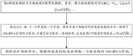 微生物菌种通量验证和评价方法、系统、设备、存储介质