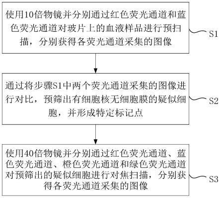 一种基于循环肿瘤细胞的扫描方法及装置