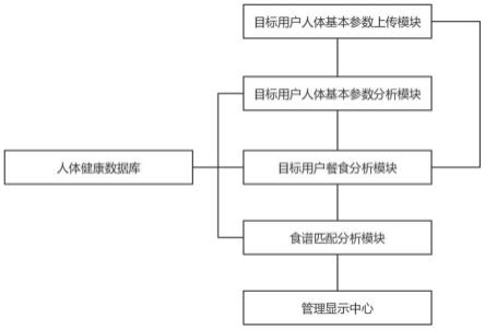 一种基于人工智能的人体健康数据管理系统