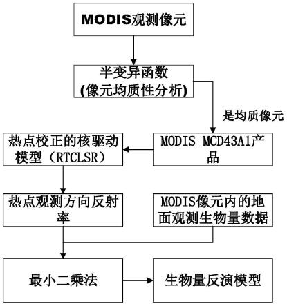 基于多角度卫星观测数据的森林生物量反演方法