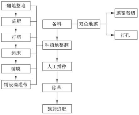 一种高效北苍术机械化大田直接播种方法