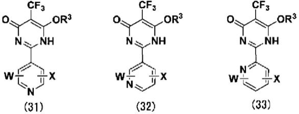 含氟嘧啶化合物和含氟嘧啶酮化合物的制作方法