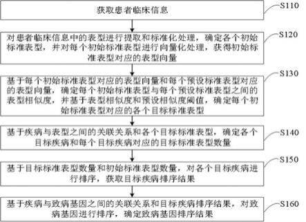 一种致病基因排序方法、装置、电子设备和介质与流程