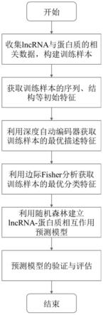 基于深度自动编码器的lncRNA-蛋白质相互作用预测方法