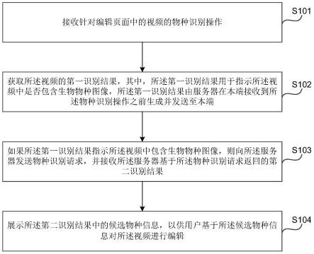 物种识别方法、装置、电子设备和存储介质与流程