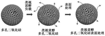 表面改性的类视黄醇负载多孔二氧化硅的制作方法