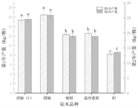 一种提高鸡尾葡萄柚果实品质的砧穗组合的制作方法