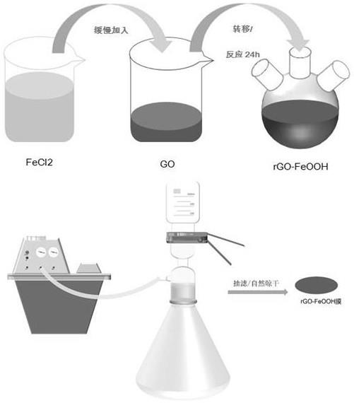 rGO-FeOOH复合材料在干细胞诱导中的应用