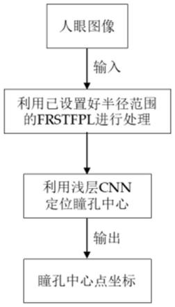 一种基于改进FRST结合卷积神经网络的瞳孔定位方法和系统与流程