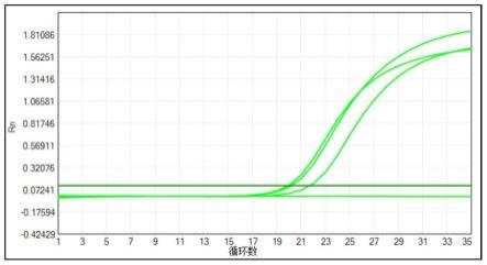 一种粪便肠道脱落细胞核酸提取用试剂盒及核酸提取方法与流程