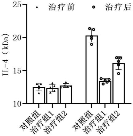 一种治疗慢性胃炎的药物组合物及制备方法