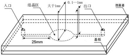 模拟微重力平台的微流控芯片及其批量法生产大分子药物结晶的方法