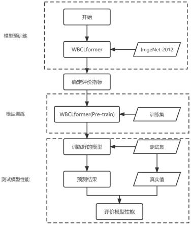 基于注意力机制的白细胞细粒度分类方法