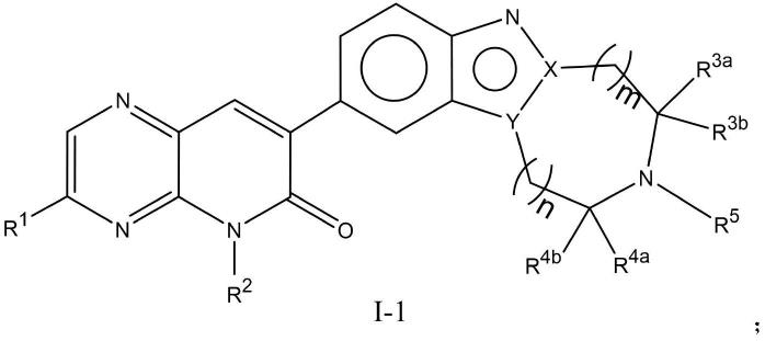 吡嗪并吡啶酮类蛋氨酸腺苷转移酶2A抑制剂的制作方法