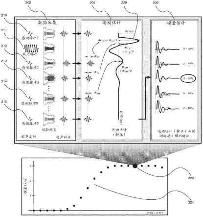 评估止血功能的方法与流程