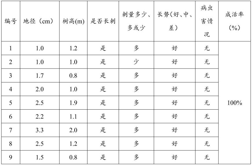 一种提高皂角应对极端干旱气候条件栽培方法与流程