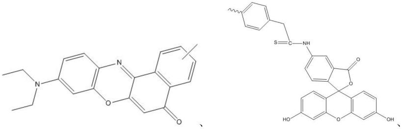 一种光控变构聚氨基酸多功能纳米材料及其制备和应用