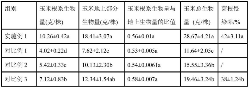 一种促进玉米生长的组合物及其应用