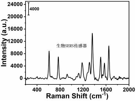 一种基于黑磷纳米片的SERS生物传感器及其制备方法和应用