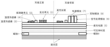 一种贴合耳垂的可拉伸生理监测仪