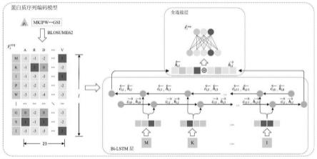 一种药物-蛋白质相互作用预测方法及系统