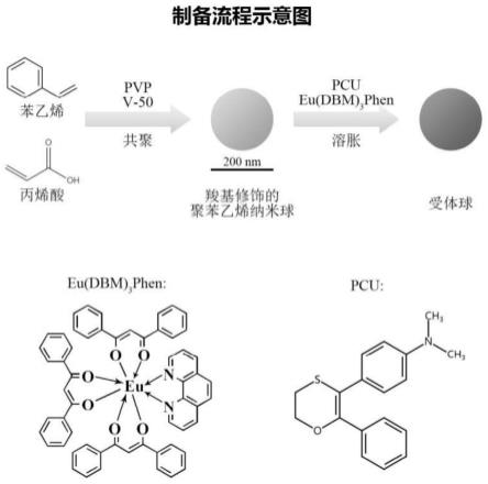 一种羧基修饰和负载的聚苯乙烯化学发光纳米球及其制备方法