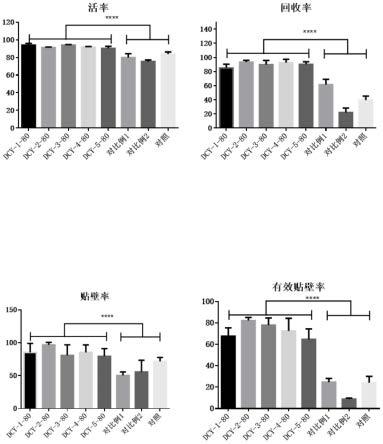 一种干细胞冻存液及其冻存方法和复苏方法与流程