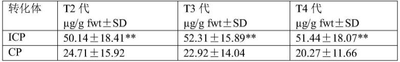 一种抗虫基因和耐草甘膦基因表达载体及其应用的制作方法