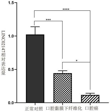 口腔黏膜下纖維化惡性進展或其所致口腔癌的早期診斷和/或預後生物