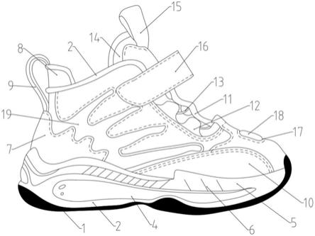 本实用新型涉及鞋子技术领域
