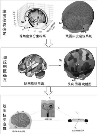 脑图谱导航的经颅磁刺激线圈位姿定位装置方法设备